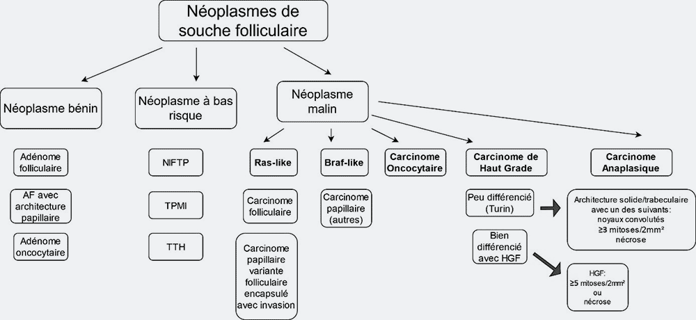 1c Quels sous types histologiques de cancers thyroïdiens